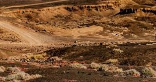 拜仁莱万多夫斯基连续两场进球