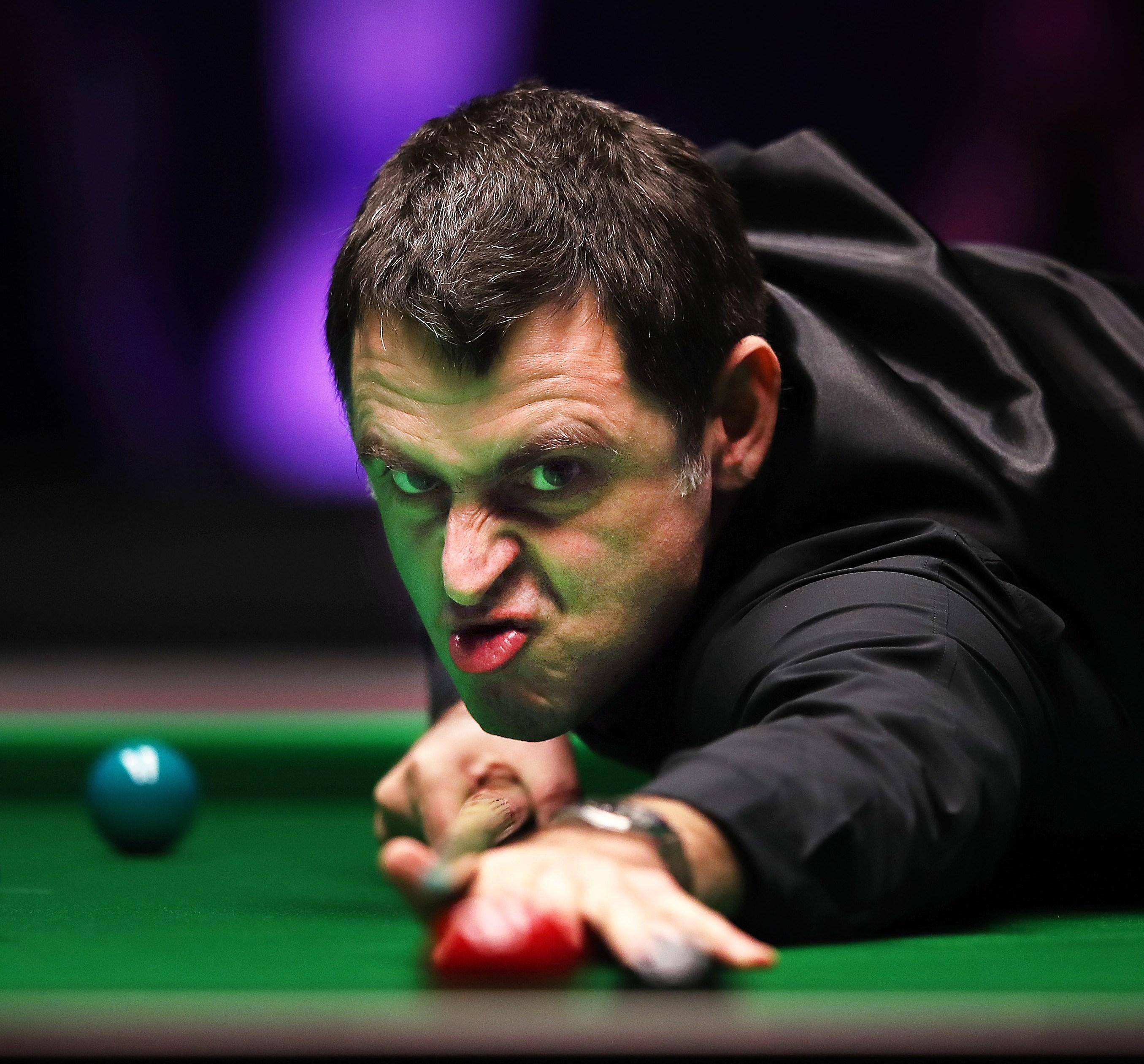 年轻球迷的 年轻球迷的